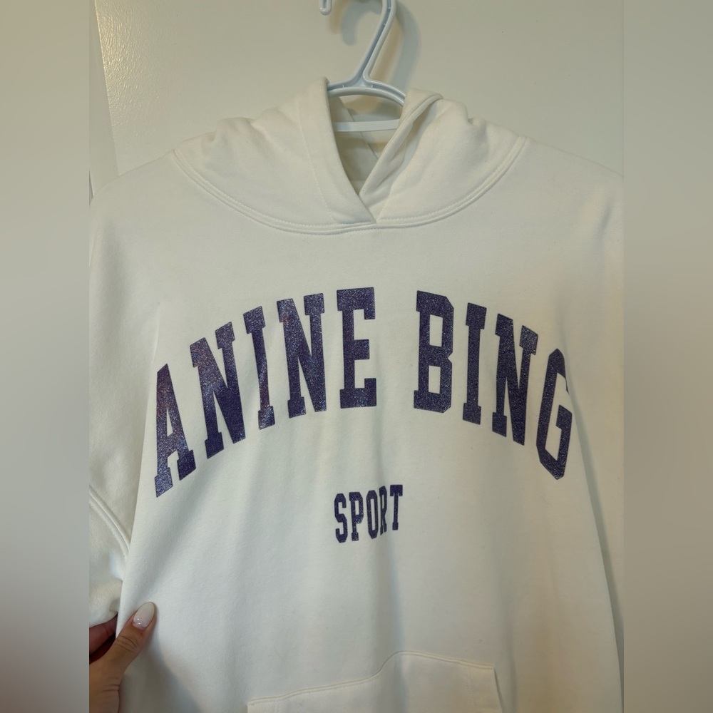 Anine Bing Hoodie